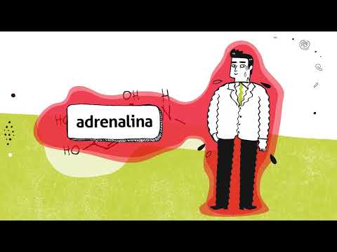 Video: L'adrenalina è un ormone steroideo?