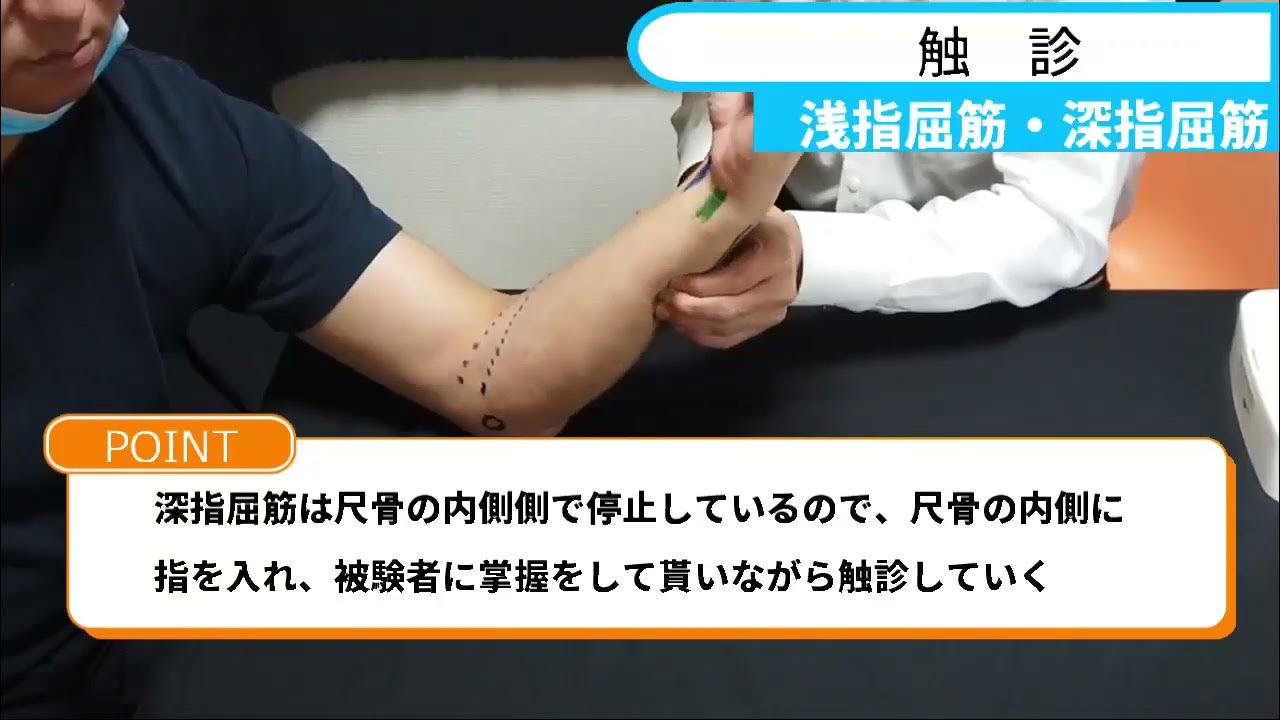 PTM触診法™：浅指屈筋・深指屈筋 YouTube