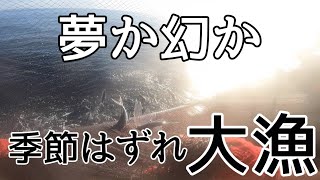 【100箱でーす】歓喜で踊るおっさん真冬の海