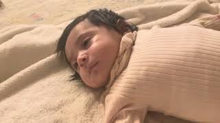 sleeping…|The Best Videos For Baby Sleeping #shorts #asmr #brainmassage #scratching