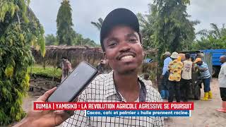 BUMBA-YAMISIKO : BOAZ ELANGA POURSUIT LA DYNAMIQUE DE MUHINDO NZANGI AVEC LA DISTRIBUTION DE PLANTS