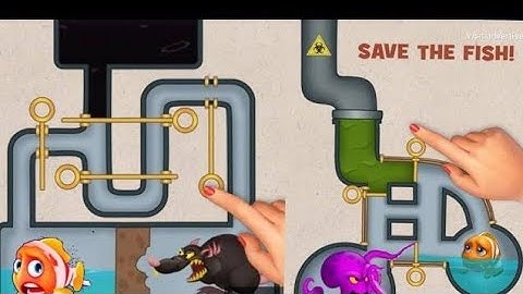 Save The fish / save fish game - gameplay walkthrough