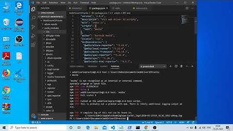 npm error  No test specified && exit 1 In Web Driver IO Resolved