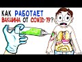 Как работает мРНК вакцина от COVID-19? [AsapSCIENCE]