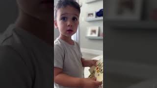 PicassoTiles PicassoToys Magnetic 3D Puzzle Cubes Building Blocks Dinosaur Character Action Figures