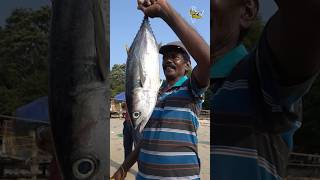 Biggest Giant Size Tuna Fish Catching &amp; Cooking In Kochi Beach Rs. 2500/- Only #keralafood #shorts