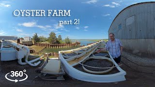 Oyster Farm: part 2 | 360 VR | Cape Cod, Massachusetts