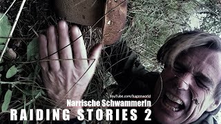 Raiding Stories Part 2: Narrische Schwammerln (pixeled version!)