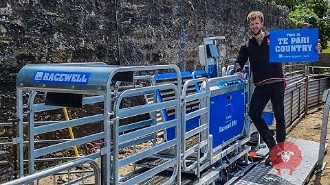 THIS SHEEP HANDLER DOES IT ALL