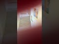 Loop day 41 #beats
