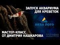 Мастер-класс по запуску креветочника от Дмитрия Кашкарова. Аква Лого