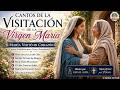 María Visitó Mi Corazón 🌸 Cantos Católicos de la Visitación de la Virgen María para Orar