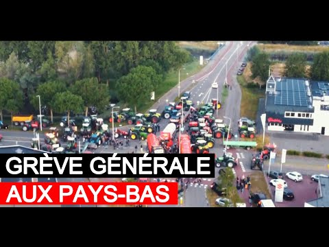 Est Actuaire Une Belle Carrière Aux Pays-Bas