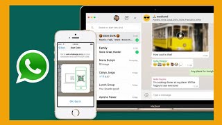 #TNT 13 - WhatsApp to add fingerprint and facial unlock feature to WhatsApp Web screenshot 5