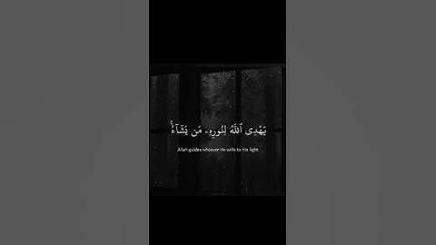 سورة النور || القارئ شريف مصطفى