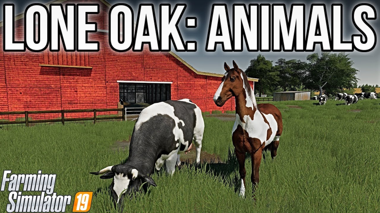 LONE OAK FARM 19: ANIMALS | Everything You Need To Know! | Farming Simulator 19