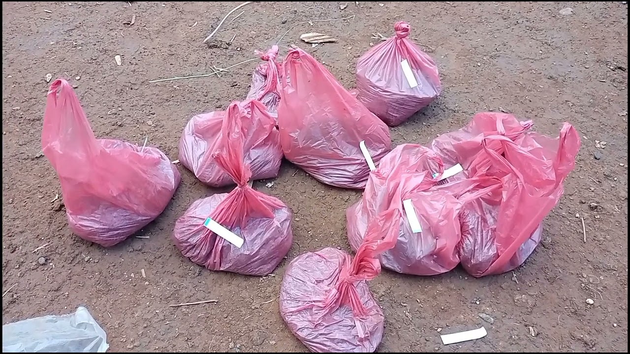 Collection of Soil Sample- Environmental Monitoring