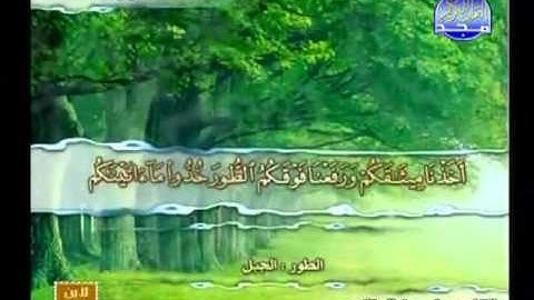 تلاوة من سورة البقرة للقارئ ياسين الجزائري