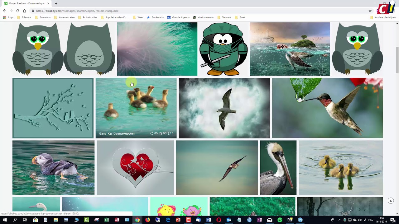 Update Pixabay: gratis rechtenvrije beelden