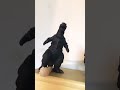 Godzilla Fell off the shelf￼