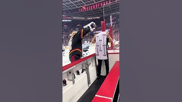 Hockey fans react: Flames in focus #CalgaryFlames