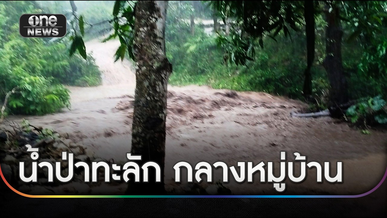 น้ำป่าทะลักกลางหมู่บ้าน ฝนซัดหลายอำเภออ่วมหนัก | ข่าวเย็นช่องวัน | สำนักข่าววันนิวส์