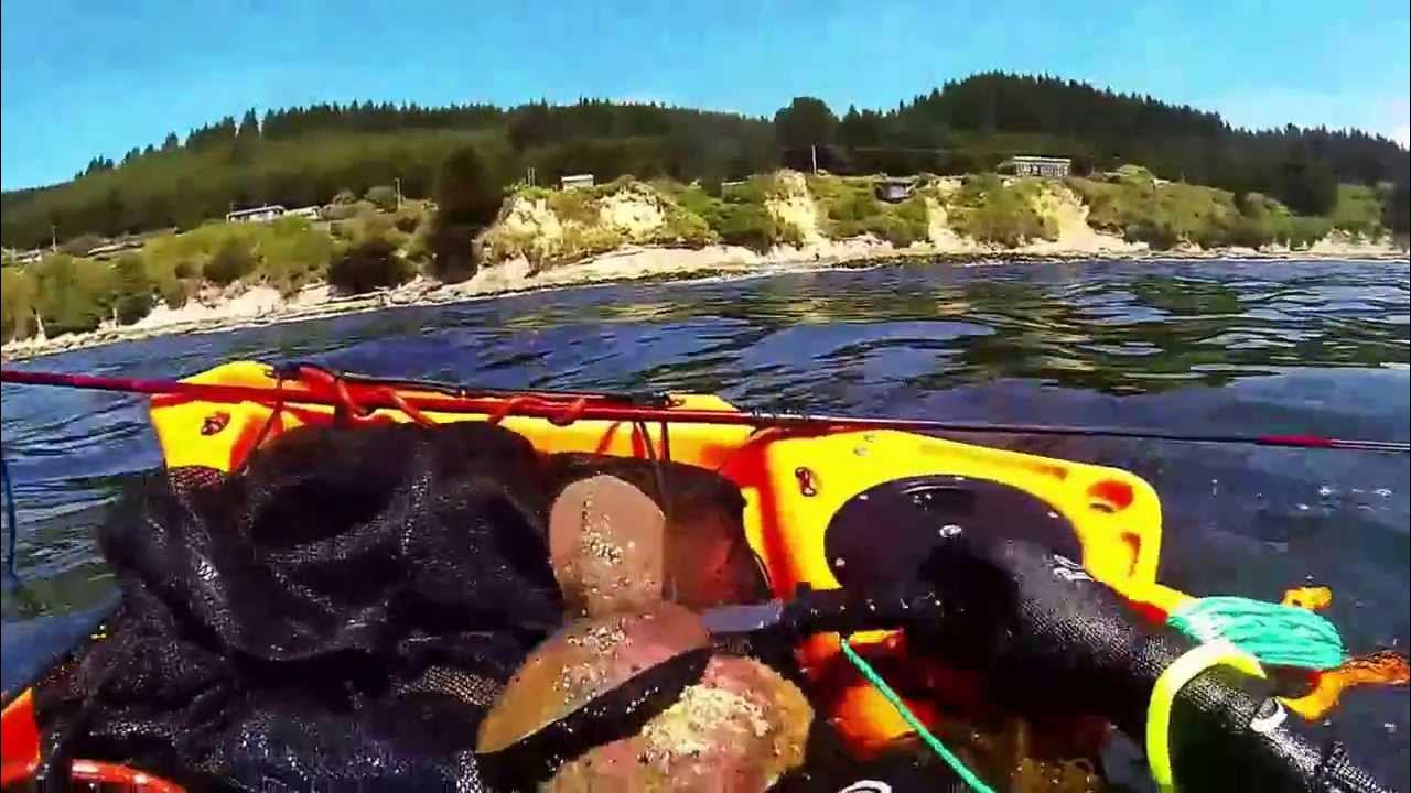 Paua Diving Otago 01 YouTube