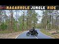 Kabini to Wayanad: Through the Wild of Nagarahole Forest | Summer Ride Day 2 | Classic 350 Reborn