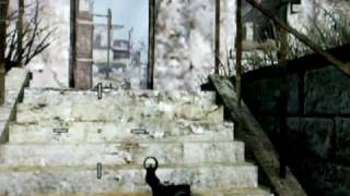 COD 5: W@W Wii Glitches