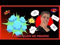 Como contar os prazos sem erro? [atualizado 2025].