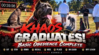 6 Weeks of Training Put to the Test — Did Khaos Pass?