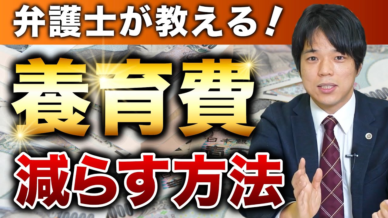 【弁護士】少しでも養育費を減らしたい人は必ずこの動画を見てください