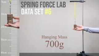 Celebrity Spring Force Lab (Data Set #6) Wealth