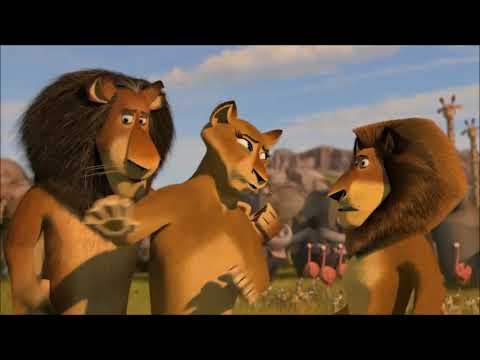 Madagascar Escape 2 Africa (2008) Alex Reunites With His Family