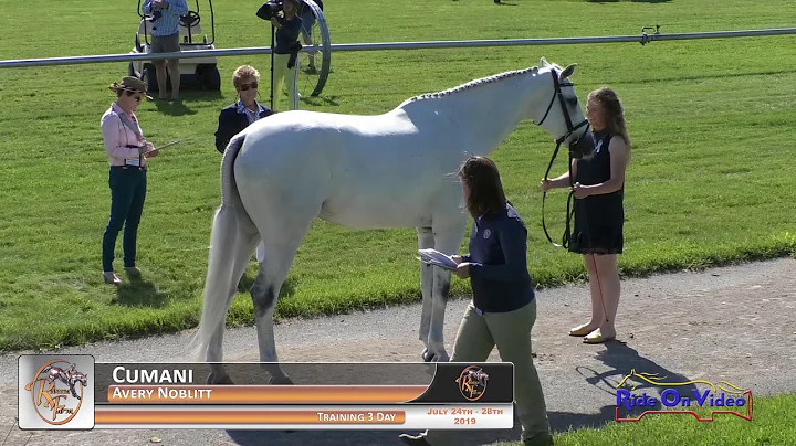 241J1 Avery Noblitt on Cumani Training 3-Day Jog 1 Rebecca Farm July 2019