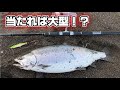 【道北エリアでこのサイズ！？】掛ければ良型が出る今シーズンが楽しすぎる…！【北海道　海サクラマス　サーフ　ルアー】