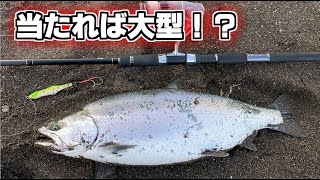 【道北エリアでこのサイズ！？】掛ければ良型が出る今シーズンが楽しすぎる…！【北海道　海サクラマス　サーフ　ルアー】