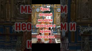 Крест, который мы несем #проповедь #духовнаяжизнь #shorts