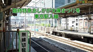 【4K】185系臨時特急あしかが大藤まつり号・東京駅７番線入線
