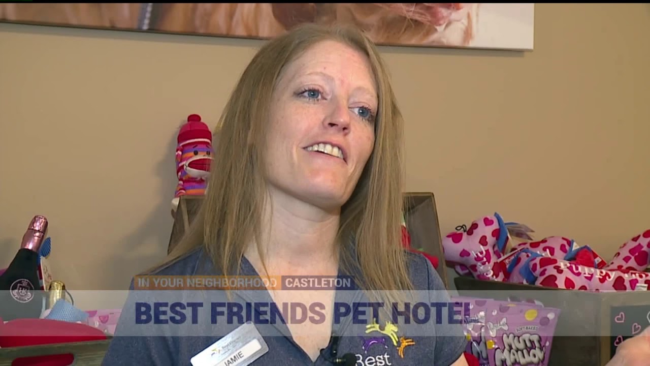 In Your Neighborhood Pets live the suite life at Best Friends Pet