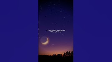 Thumbnail of Eternity - Alex Warren | Lyric Video #shorts