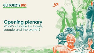 What’s at stake for forests, people and the planet?