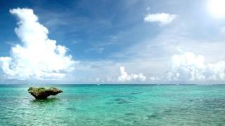 SQUALL IN AN ISLAND All Instrument by miu JAPAN