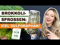 So ziehst du Brokkoli-Sprossen nur mit einem Glas in deiner Küche! (Sulforaphan, How Not To Die)