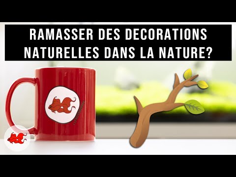 Vidéo: Peut-on fabriquer des pierres tombales dans des terrariums ?