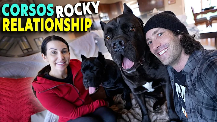 My Corso's ROCKY RELATIONSHIP start Bruce Wayne & ...