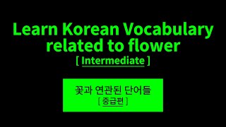 Learn Korean Vocabulary Related To flower: Basic Korean Words for Study Hangul Alphabet Language