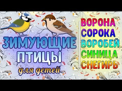 Учим зимующие птицы. Зимние птицы. Сорока, ворона, синица, снегирь, воробей. Пальчиковая гимнастика