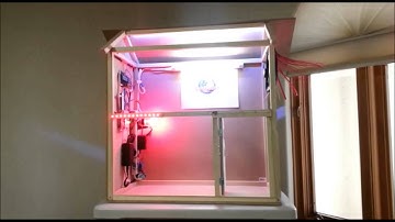 Internet of Things and Home Automation