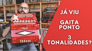 Gaita Ponto - Ciclos 12 Baixos - Guilherme Garcia
